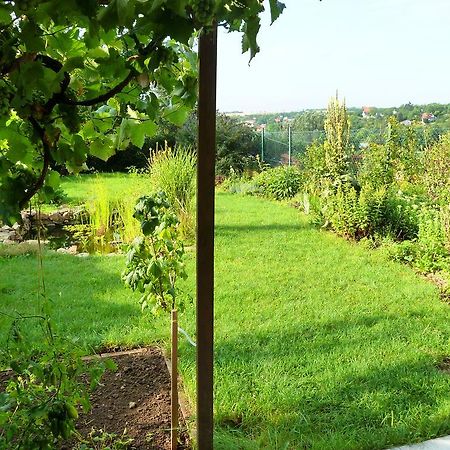 Ubytovani Vinohrady 73 Znojmo Dış mekan fotoğraf