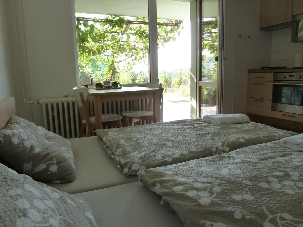 Ubytovani Vinohrady 73 Znojmo Dış mekan fotoğraf