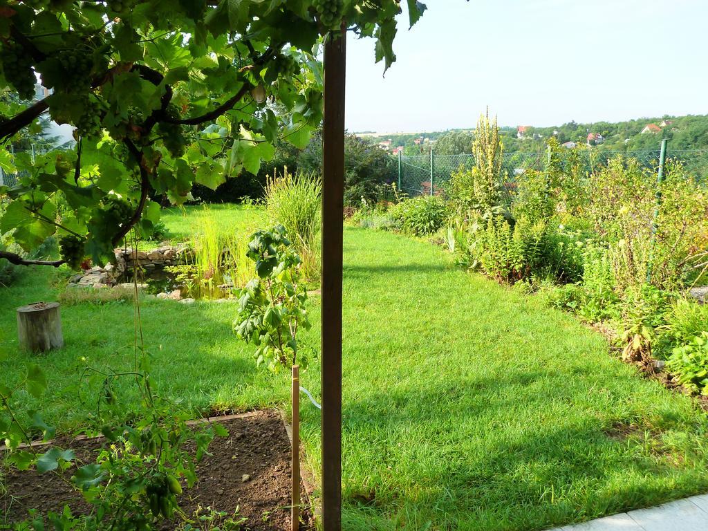 Ubytovani Vinohrady 73 Znojmo Dış mekan fotoğraf